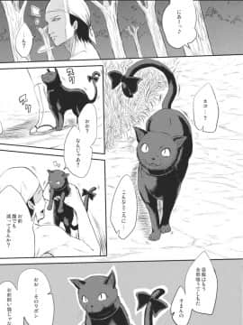 (例大祭8) [アビオン村F (ふぇっちー)] ねこのきもち。 (東方Project)_007