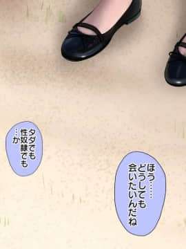 [宏式堂[ナマイキな援交JKが チ○ポ狂いの雌奴隷になるまで]]_087_HS001_086