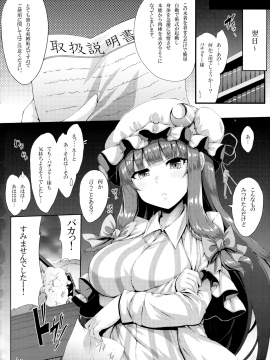 (C94) [YuKi-IRo (ゆきうさぎ。)] 常夏魔術 (東方Project)_015