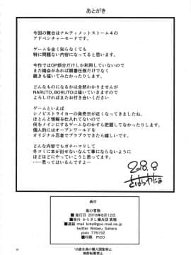 (C94) [からきし傭兵団 真雅 (砂原渉)] 嵐の冒険 (NARUTO)_29