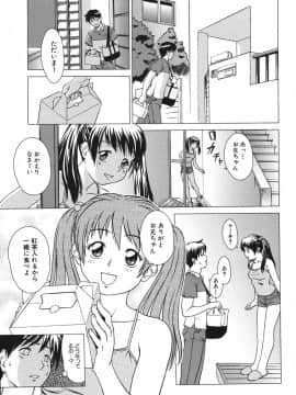 (成年コミック) [しのぎ鋭介] シスプレ_035