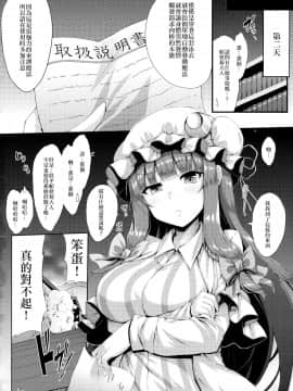 【CE家族社】(C94) [YuKi-IRo (ゆきうさぎ。)] 常夏魔術 (東方Project)_015