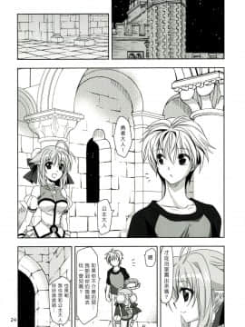[萌舞の裏組漢化] (C83) [PLUM (かん奈)] Wonderful Ever (Dog Days)_0024