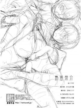 [瑞树汉化组] (もう何も恐くない21) [かたまり屋 (しなま)] 島風恭介 (魔法少女まどか☆マギカ)_29