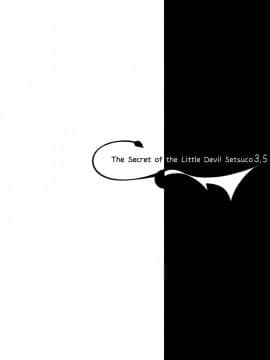 (C94) [ちょこれーとらんど (kakao)] 小悪魔せつこの秘密 vol.3.5 [这很恶堕汉化组]_014