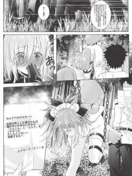 (C94) [藍の砂時計 (HaneRu)] 燦々日光午睡宮精池肉林 (Fate Grand Order)_024