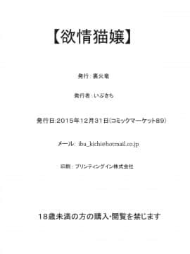(C89) [裏火竜 (いぶきち)] 欲情猫嬢 (モンスターハンター)_18