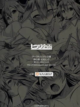 (サンクリ2016 Autumn) [ヒツジ企画 (むねしろ)] うちのサラーサのおっぱいが気になって集中できない! (グランブルーファンタジー)_26