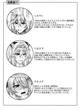 (C90) [杜若社 (杜若かなえ)] 碧空の寵姫たち2 (グランブルーファンタジー)_03