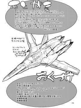 (C75) [絵援隊 (酒呑童子)] シェリル・オークション (マクロスF)_29