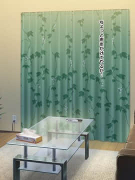 (同人CG集) [三毛猫ディスコ] いいなり妹！中出し調教日記_29-02