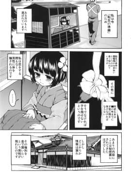 (C78) [Satellites (サテツ)] 命短し孕めよ乙女 (東方Project)_03
