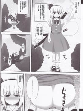 C78) [腹痛起こす (悔王)] ようぷらす(東方Project) [中国翻訳]-(C78) [Fukutsuu Okosu (Kaiou)] Youpurasu (Touhou Project) [Chinese] [靴下汉化组]_4