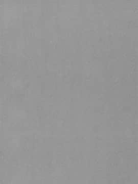 (C76) [GREAT芥 (tokyo)] chili acta (アークザラッド)_11