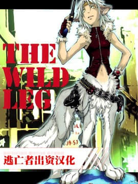(C74) [GoldenDawn89 (狩鷹明、小野ぬい)] THE WILD LEG [中国翻訳]