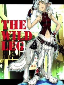 (C74) [GoldenDawn89 (狩鷹明、小野ぬい)] THE WILD LEG [中国翻訳]_00000001