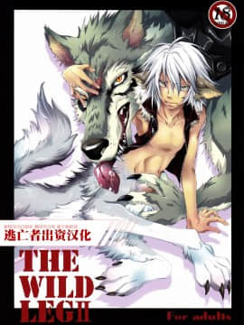 (C76) [GoldenDawn89 (狩鷹明、小野ぬい)] THE WILD LEGII [中国翻訳]