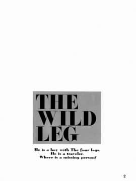 (C76) [GoldenDawn89 (狩鷹明、小野ぬい)] THE WILD LEGII [中国翻訳]_00000003