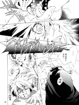 (C78) [GoldenDawn89 (狩鷹明、小野ぬい)] THE WILD LEG III [中国翻訳]_00000031