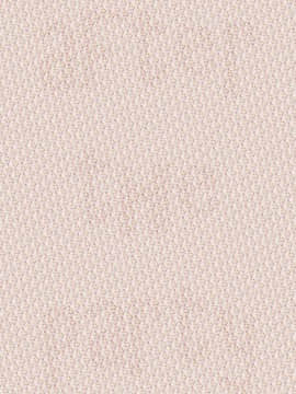 【管少女汉化】[全裸QQ] Racy Sympathy_019