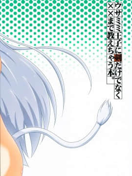 [脸肿汉化组] (なのはDAYS4) [Serenta (BOM)] ウサミミ王子に剣だけでなく××まで教えちゃう本。 (DOG DAYS)_019