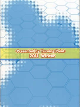 (C81) [Turning Point (うえひろ)] シャルのヒメゴト2 (インフィニット・ストラトス)_26