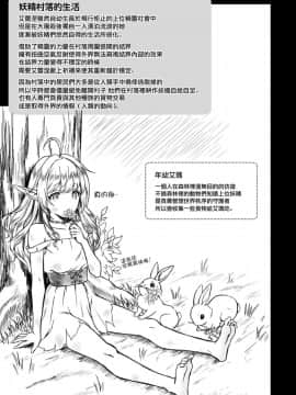 [H.B.A (うさぎなごむ)] 黄昏の娼エルフ3 [無邪気漢化組] [Digital]_MJK_18_T1270_045