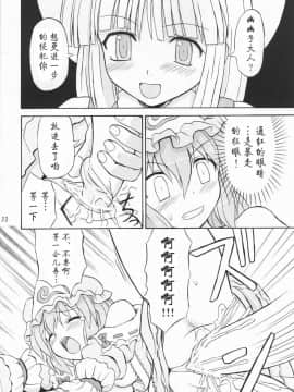(例大祭2) [高久屋 (高久としひこ)] 東方妖女乱舞3 (東方Project) [中国翻訳]_22