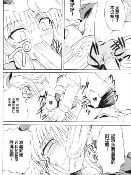 (例大祭3) [高久屋 (高久としひこ)] 東方妖女乱舞6 (東方Project) [中国翻訳]_13