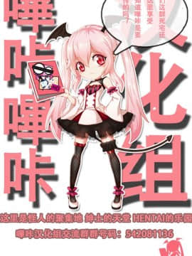 (C88) [INS-mode (天凪青磁)] 理想の妹 [嗶咔嗶咔漢化組]_27