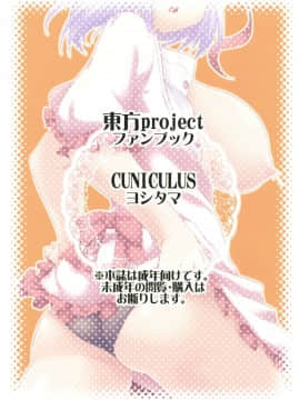 [oo君個人漢化] (C86) [CUNICULUS (ヨシタマ)] 衣玖産 (東方Project)_026
