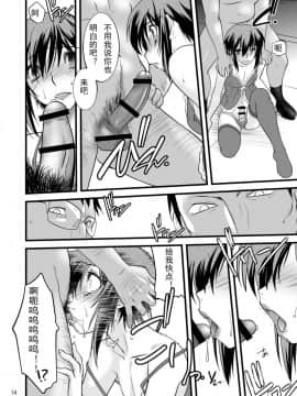 [lvlvbubu个人汉化][龍企画 (龍炎狼牙)] FARFALLA Tre_14