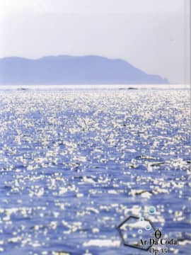 (こみトレ24) [あ～だこ～だ (藤瀬あきら, ジナン)] 401st～しおいすと～ (艦隊これくしょん -艦これ-)_25