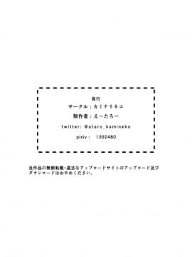 [カミナリネコ (えーたろー)] 催眠で常識が壊された世界_35