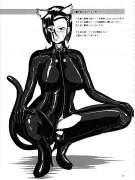 (ふたけっと10) [serious graphics (ICE)] ICE BOXXX 13 She's Strange (宇宙戦艦ヤマト2199)_iceboxxx13_039