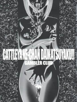 (C63) [ギャンブラー倶楽部 (香坂純)] カトレアねーちゃん大活躍!! (レイヴ)_Cattleya_Nee_chan_Daikatsuyaku_003