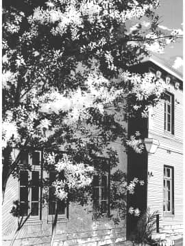 (C93) [吉野 (菊月太朗)] 春衡伯爵家の事情 ～明治中期ノ部～ 総集篇_0_007