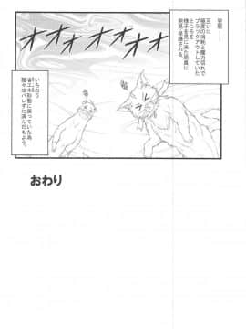 (C95) [朽木ノ洞 (エンマコオロギ)] 性交ノ殲滅者 (魔法少女リリカルなのはDetonation)_19