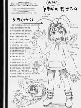 [清純突破漢化] (C77) [のうないカノジョ (キシリトヲル)] 博麗神社の霊夢さん (東方Project)_32