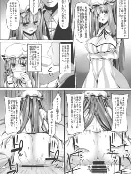 Neteiru Patchouli Ni Wa Nani O Shite Mo Yoi_15