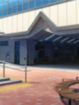 (同人CG集) [台風日和] 孕ませ放題ハーレム世界 女子全員が発情期MAXなのに勃起できる男が俺一人しかいなかったら_0976_14_01