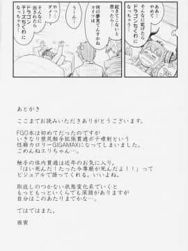 (C94) [寅乃檻 (酉寅)] 勇者大敗北EX (FateGrand Order)_19