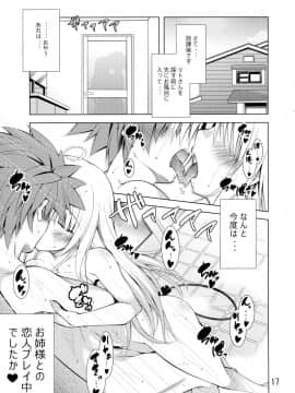 (C88) [BBG (葵蜜柑)] リトさんのハーレム性活 (ToLOVEる ダークネス)_16
