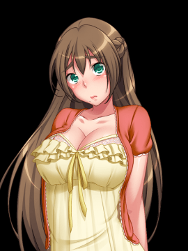 [ANIM.teamMM] 兄貴の妻は俺の肉妻_img663_Mhono1102f