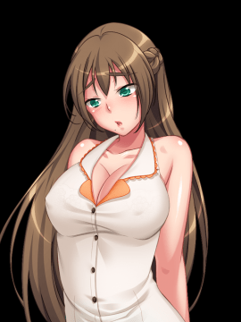 [ANIM.teamMM] 兄貴の妻は俺の肉妻_img667_Mhono1103e