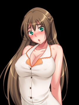 [ANIM.teamMM] 兄貴の妻は俺の肉妻_img668_Mhono1103h