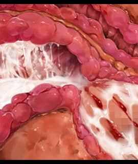 デカ乳ムチ尻BBA騎士団 ～歴戦の女騎士も巨根には勝てない！爆乳爆尻牝にエロ酷いことし放題の絶対忠誠ハーレム♪～_0334_zcu103c