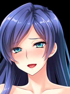 デカ乳ムチ尻BBA騎士団 ～歴戦の女騎士も巨根には勝てない！爆乳爆尻牝にエロ酷いことし放題の絶対忠誠ハーレム♪～_0551_st_birgit_b002g