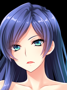 デカ乳ムチ尻BBA騎士団 ～歴戦の女騎士も巨根には勝てない！爆乳爆尻牝にエロ酷いことし放題の絶対忠誠ハーレム♪～_0559_st_birgit_b004a