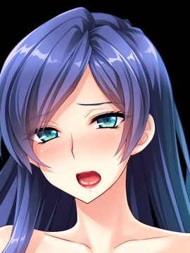 デカ乳ムチ尻BBA騎士団 ～歴戦の女騎士も巨根には勝てない！爆乳爆尻牝にエロ酷いことし放題の絶対忠誠ハーレム♪～_0563_st_birgit_b004e